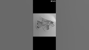 Taylor albums #taylorswift #capcut #swiftie 🫶🏻🎤💜