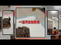 獨角仙打架打一半落跑　趨光性竟直往燈飛XD