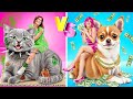 Cats vs Dogs | PETS competition!