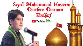 Seyed Mohammad Hosseini - Dertlere Derman Ebelfazl Resimi