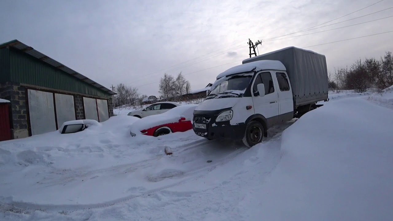 Газель фермер республика дагестан