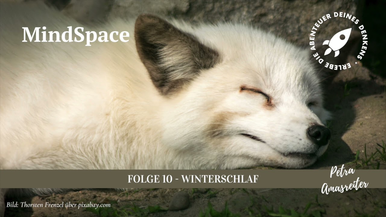 MindSpace - Folge 10: Winterschlaf