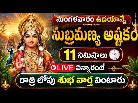 LIVE : మంగళవారం సుబ్రమణ్య అష్టకం ఉదయాన్నే విన్నారంటే రాత్రి లోపు శుభ వార్త వింటారు | Bhakti Sri