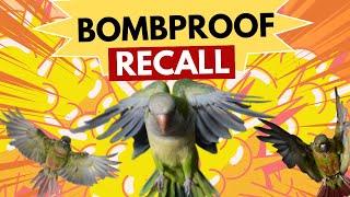 Bombproof Recall | Training Tutorial