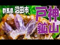 アメジスト発見‼【群馬県沼田市 戸神山（戸神鉱山）】水晶もいっぱい、水晶の露頭もあったぞ！