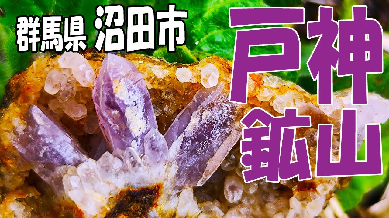 Amethyst discovered! [Togamiyama (Togami Mine), Numata City, Gunma