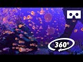 UNDERWATER LUMINOUS ABYSS 360° VR - TheBlu Virtual Reality Experience