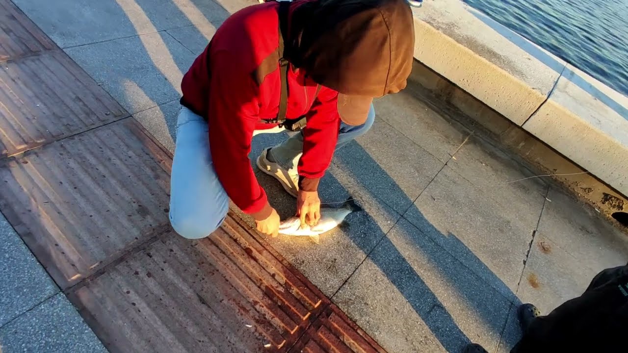 KIYIDAN LEVREK AVI BU YÖNTEM EN KOLAYI