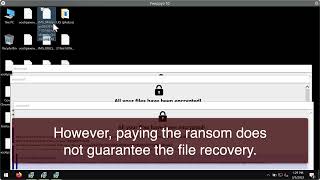 LKS Phobos ransomware removal instructions.