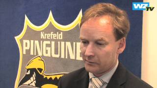 Pinguine Robert Haake Und Die Sponsorensuche