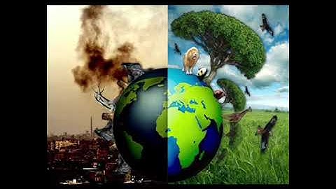 Đại sứ xanh vì một Hà Nội Xanh - Lê Trung Hiếu 3A5 - Trường Tiểu học Chàng Sơn