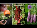 Making The Best Liquid Fertilizer For Vegetable Plants! - Pure Greeny.