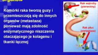 Medycyna Komorkowa Cz 5.Mp4