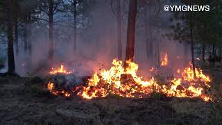 Wildland firefighters from BLM fight the #BADGERLAKEFIRE