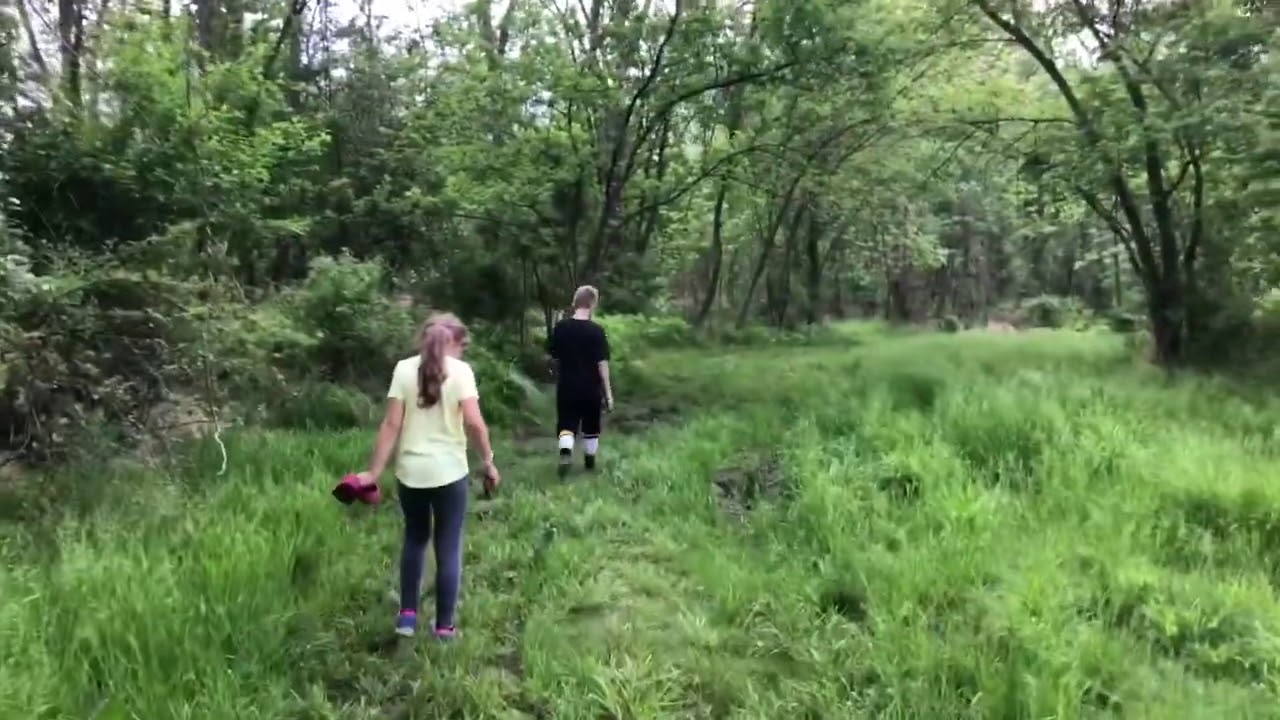 Playwicki Farm Park YouTube