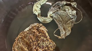 I tried the Dr sebi duck 🦆 flower 🌸 detox‼️this what happened 🤢🤮