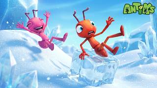 ⛄❄️ Semut Paling Keren di Negeri Salju! 🐜 | ANTIKS Indonesia | Kartun Anak