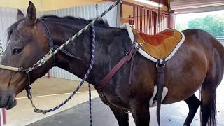 Trailmaster XL Bareback Pad Details