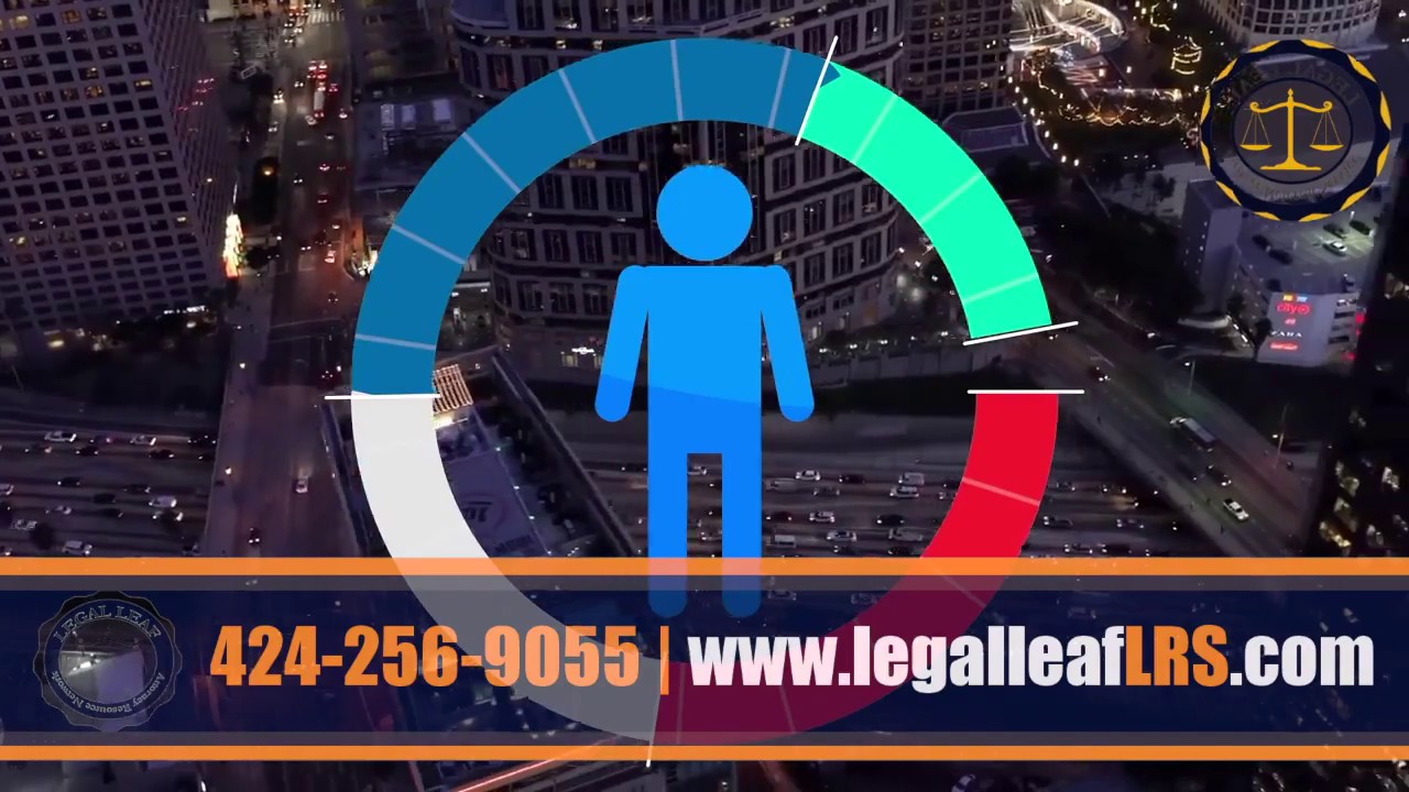 Bird Scooter Accident