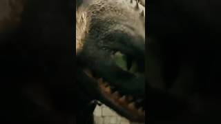 Be Fearless Like A Night Fury Clips Httyd 20102025, Music Randall Anas Choix De Vie Slowed