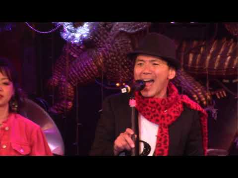 ONE NIGHT GIGOLO＜ワンナイト ジゴロ＞／ダイナマイトポップス（ダイポプのバブル歌謡ナイト 2019）