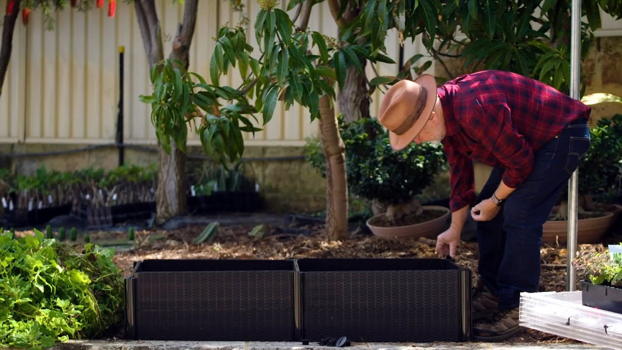 The Garden Gurus - Garden projects & cool ideas - Holman Raised Garden Beds