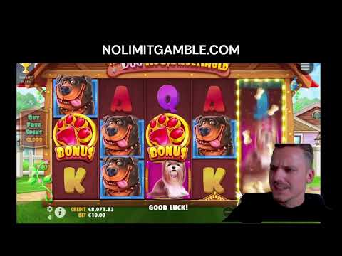 Spielen Sie im Online-Casino Infinity – Die Beste Casino-Erfahrung in Deutschland