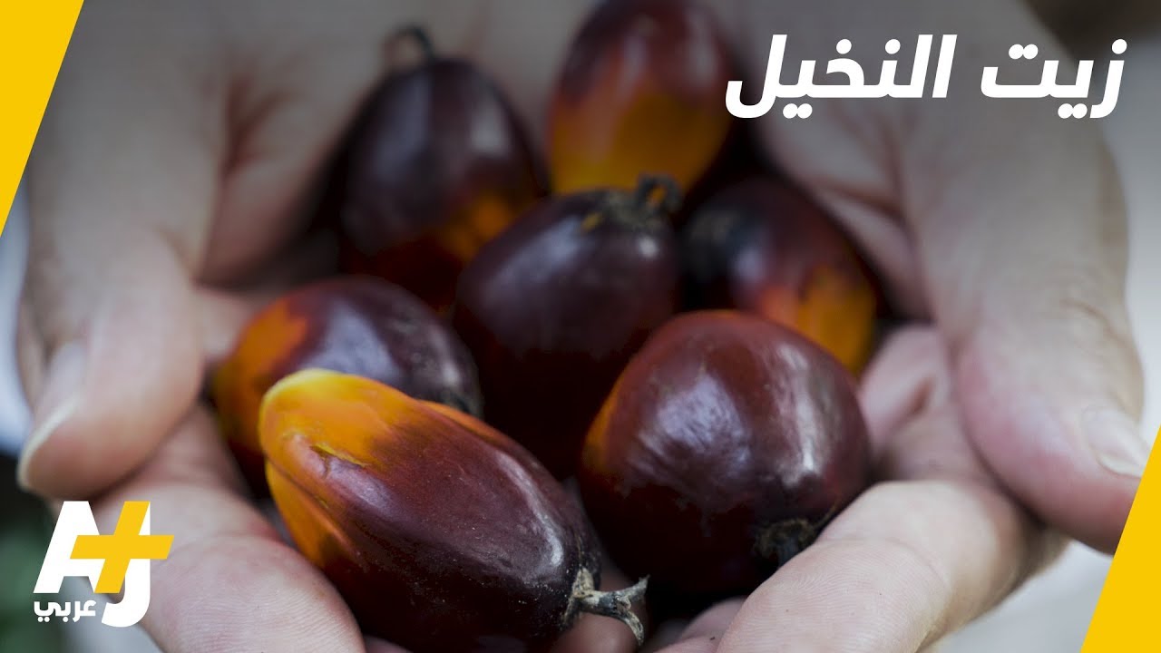 زيت النخيل، العدو الخفي في غذائنا.. هل تعيدون النظر فيه؟