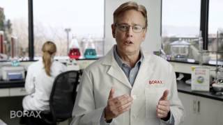 Borax 20 Mule Team Laundry - What is a buffer?
