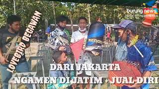 Download Lagu LOVE BIRD BEGAWAN DARI JAKARTA; ngamen + jual diri di jatim