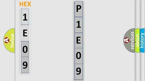 DTC Chrysler P1E09 Short Explanation