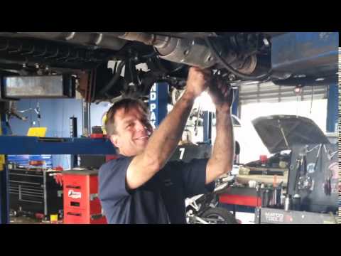 Duane S Dealer Alternative Safety Harbor Fl