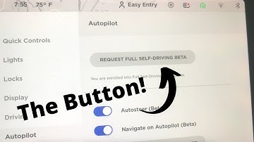 Tesla Software Update 2021.32.22 ❗️ FSD Beta Button