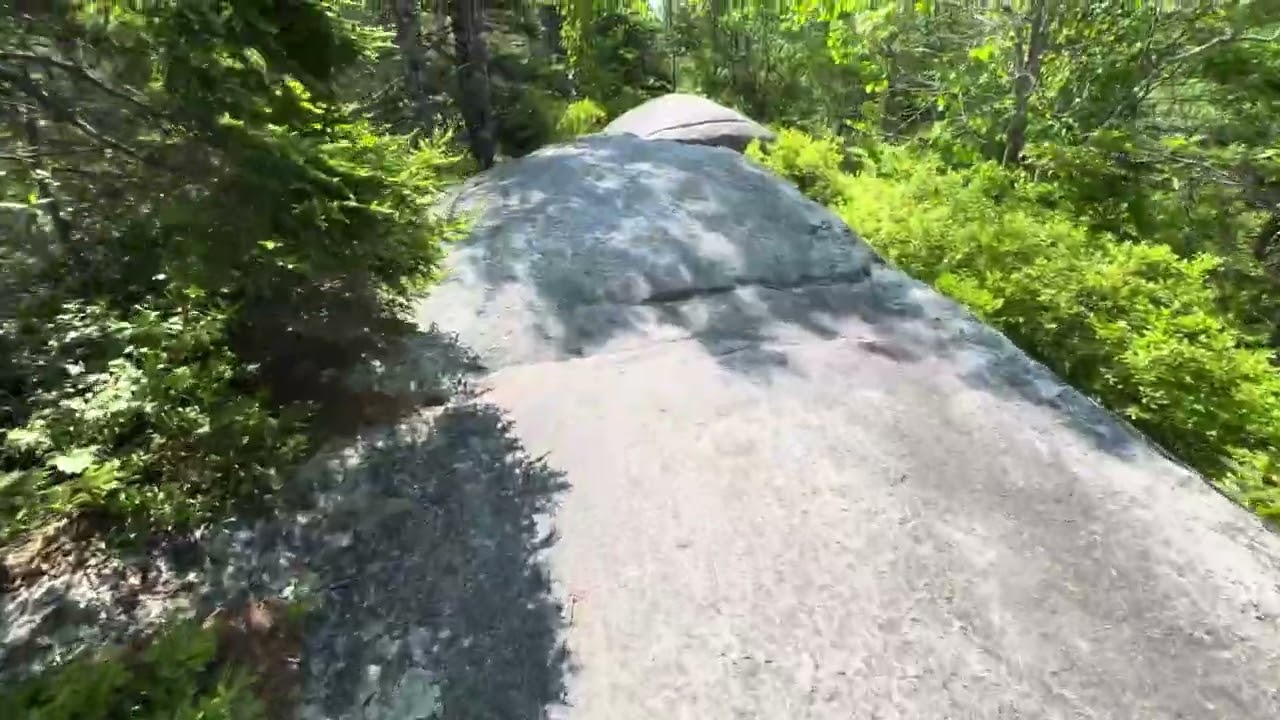 The Bluff Wilderness Hiking Trail || Nova Scotia || canada 🇨🇦 