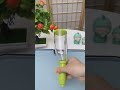 Video Image