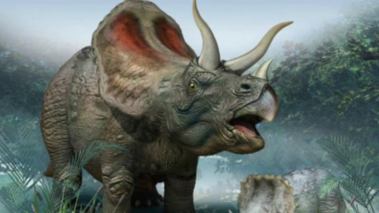 History of the earth YouTube