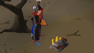 I got very lucky in the wilderness today screenshot 4