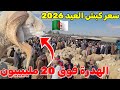 مسلسل كبش عيد الأضحى 2026 متواصل معنا حتى آخر يوم تابع آخر أخبار أسعار كبش العيد على المباشر 