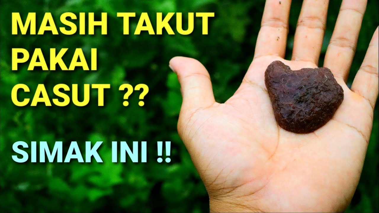 PENGEN CACING SUTRA AMAN DAN BERSIH ?? CARA MUDAH STERILKAN DAN PISAHKAN LUMPUR TANPA REPOT.