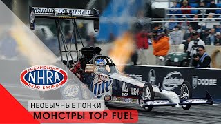 Безумные необычные гонки: драгстеры TOP FUEL