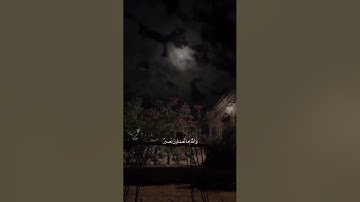 #القارىء_اسلام_صبحي #اكسبلور #القران_الكريم #لايك #اذكار_الصباح #ترند #الشيخ #تيك_توك