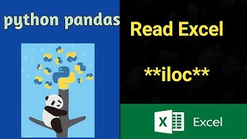 Python Pandas Excel File read |  Hands on | iloc