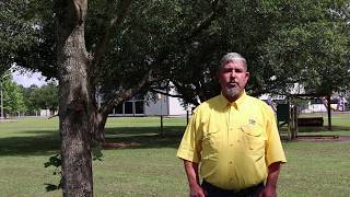 Annual Tree Evaluation