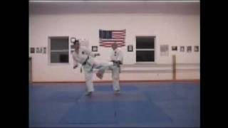 Kwanmukan 32 Ippon Kumite (One Step Sparring)