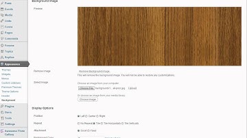 theme options header image backgroundimg menu setup