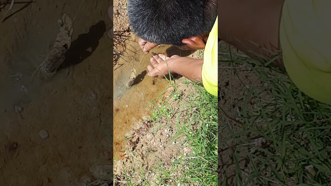 Mak ferdi,pemancing belut pemula 