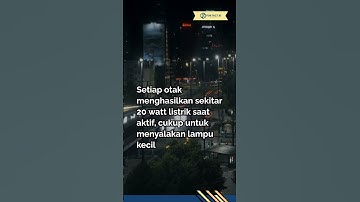 Fakta Menarik dan Unik Tentang Otak Manusia yg Jarang Diketahui #faktaunik #faktamenarik #funfacts