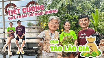 CÁT TƯỜNG dẫn TIẾT CƯƠNG về thăm “CƠ NGƠI” đầu tư KHỦNG của TÀO LÃO GIA !!!