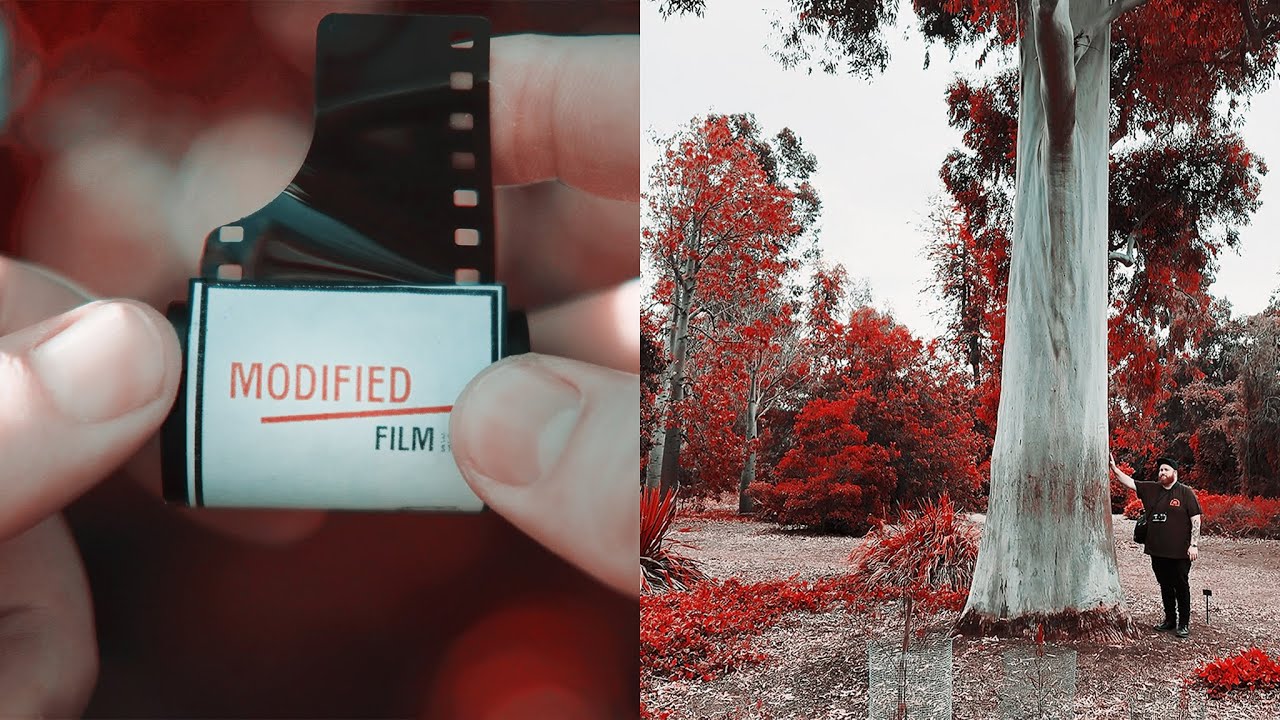 Может ли эта НОВАЯ пленка заменить Aerochrome?