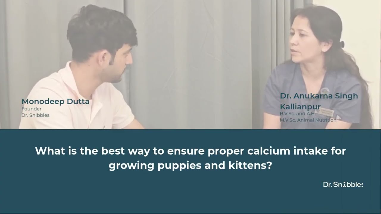 Calcium for Puppies & Kittens | Dr. Snibbles Podcast with Dr. Anukarna